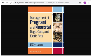 Enlarged cover from Syndetics